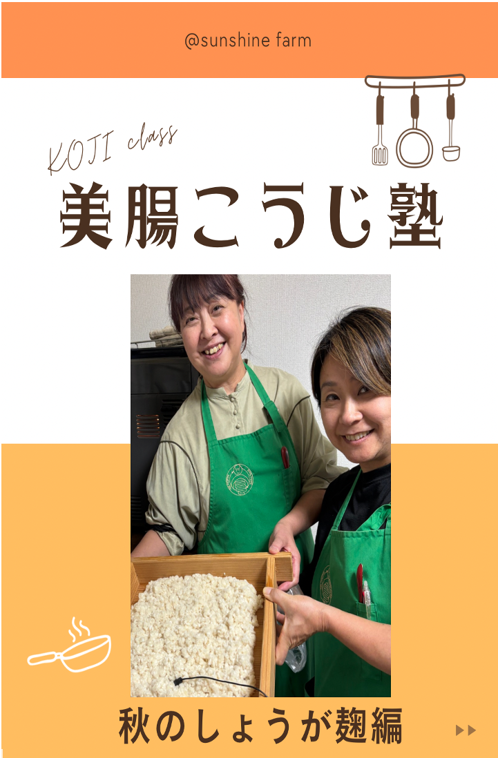 美腸こうじ塾0期